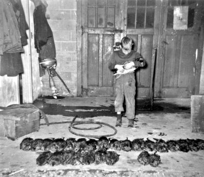 Fur Trapping